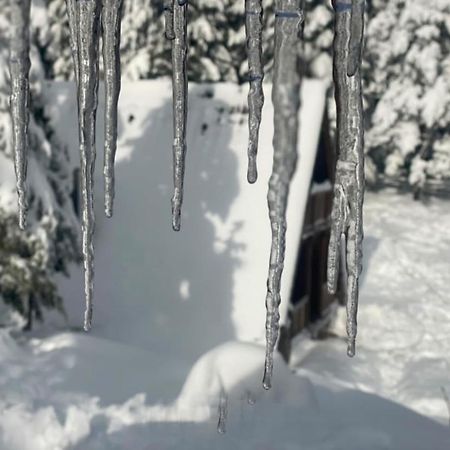 فيلا ميترفاتسفي Vikendica Tarsko Srce S المظهر الخارجي الصورة