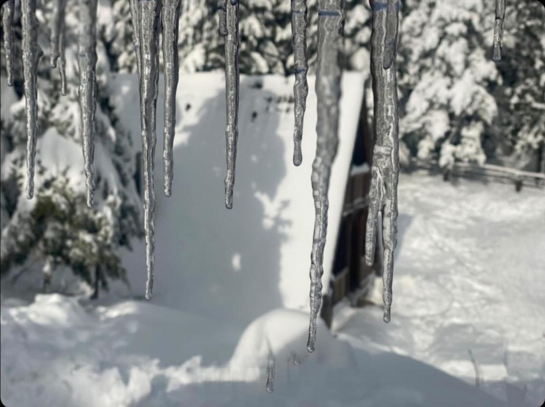 فيلا ميترفاتسفي Vikendica Tarsko Srce S المظهر الخارجي الصورة