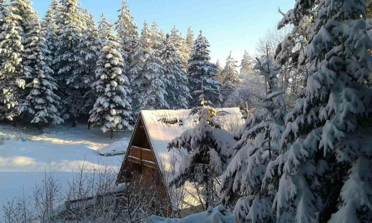 فيلا ميترفاتسفي Vikendica Tarsko Srce S المظهر الخارجي الصورة